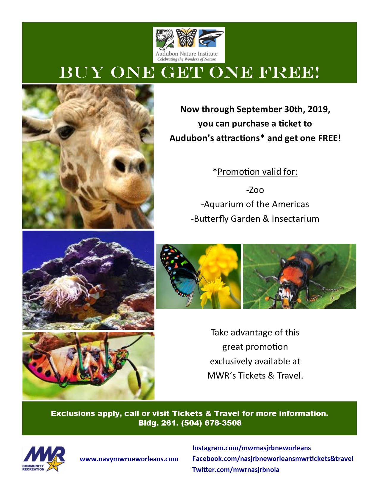 TT Audubon BOGO Flyer.jpg
