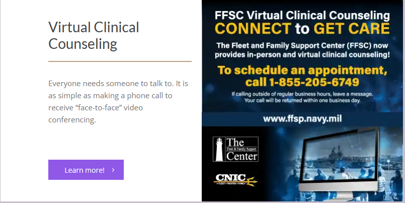 Virtual Counselling.png